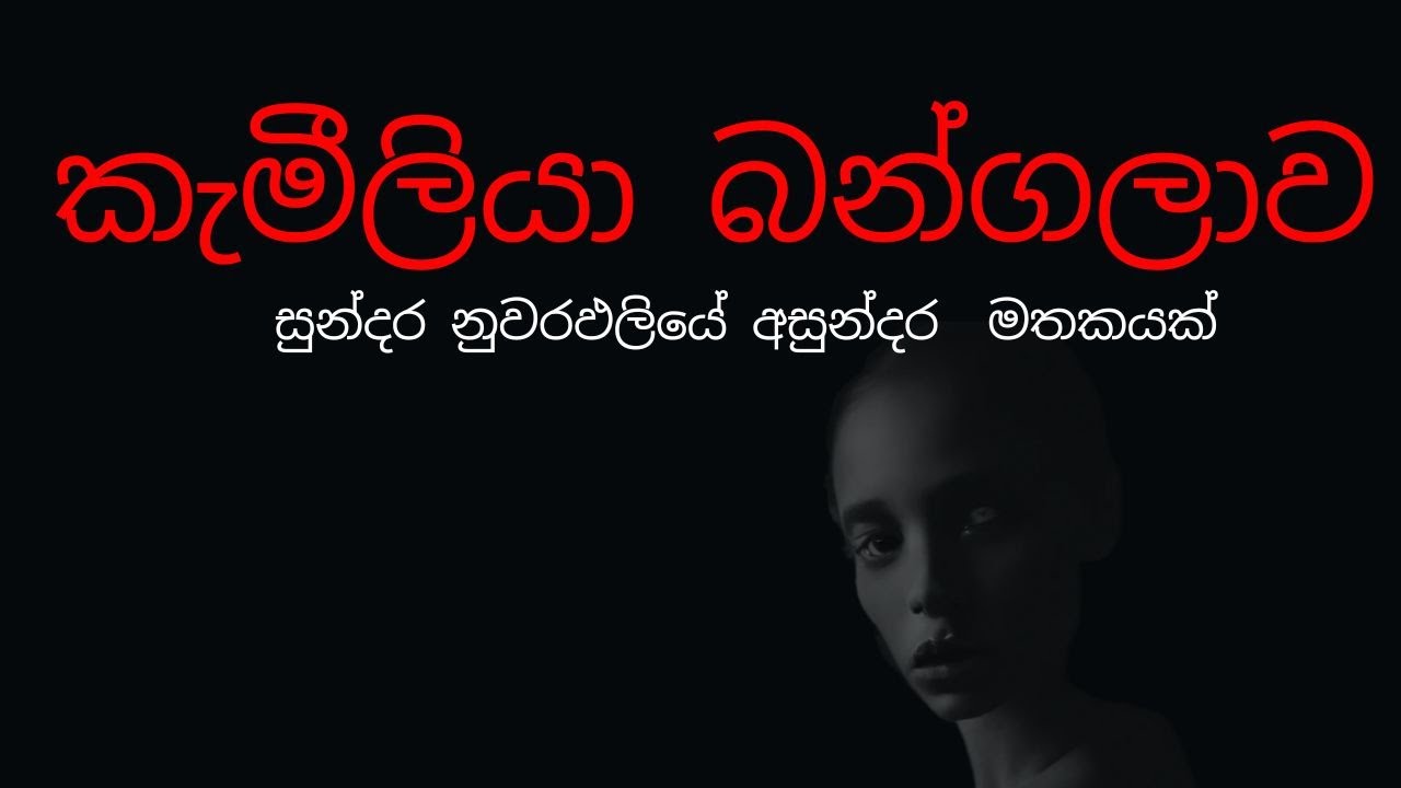 කැමීලියා බන්ගලාව/sinhala holman katha /sinhala ghost stories