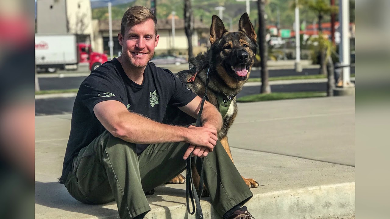 Introducing K9 Chop