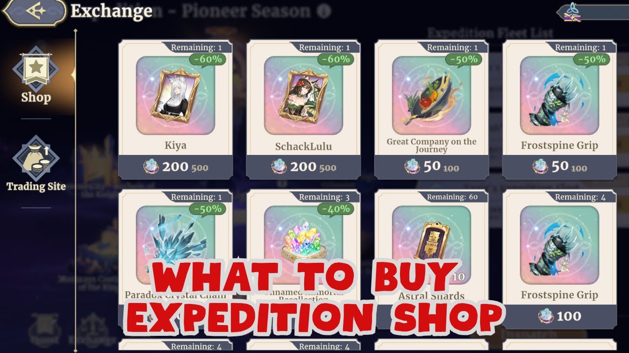 CONSIDERATIONS FOR EXPEDITION SHOP - WHAT TO BUY? [SWORD OF CONVALLARIA]