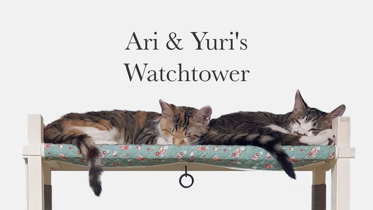 DIY Cat Tower | 캣타워 | キャットタワー