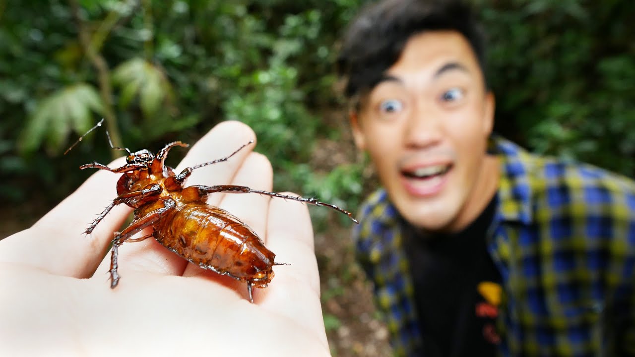 このあとパニックになります
