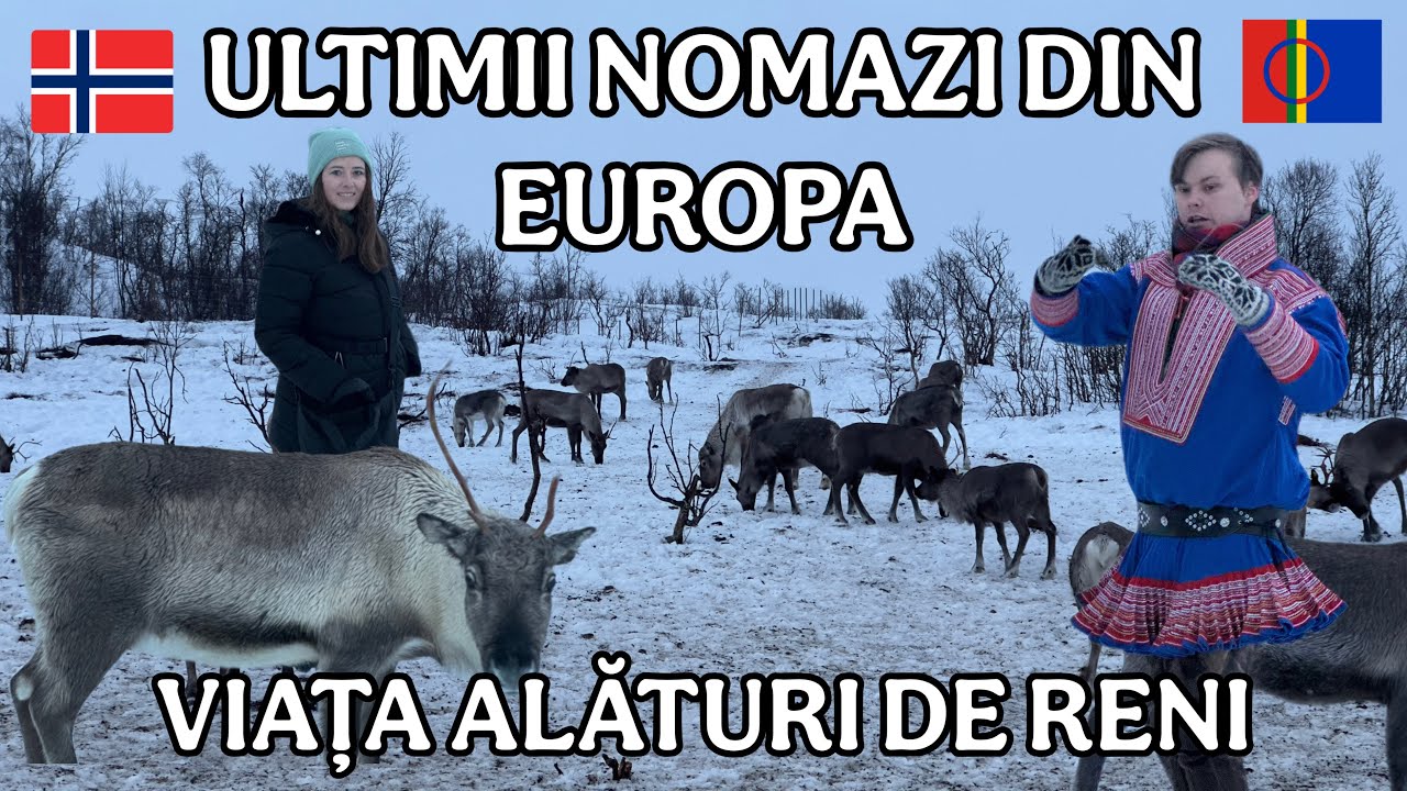NORDUL AUTENTIC: O zi cu oamenii Sámi, am hrănit renii în Tromsø NORVEGIA