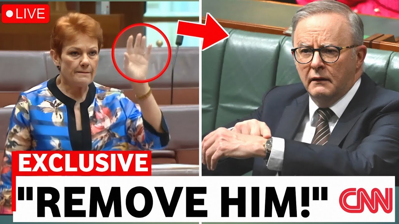 Watch How Anthony Albanese LOSES IT As Pauline Hanson EXPOSES Him On Live TV 