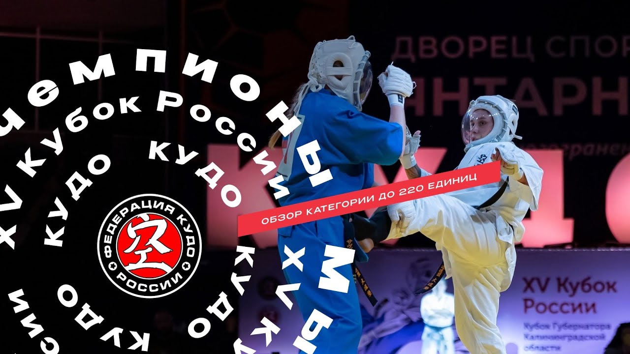 Обзор категории до 220 ед XV Кубка России по КУДО