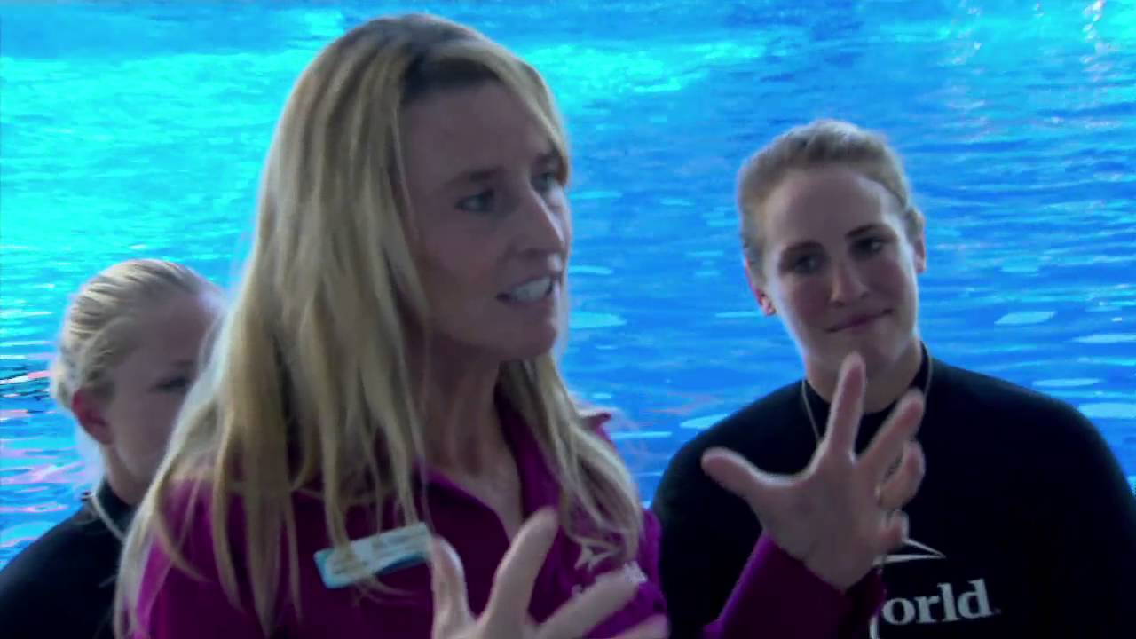 Série Desvendando o SeaWorld Parks - Richard Rasmussen no SeaWorld Orlando