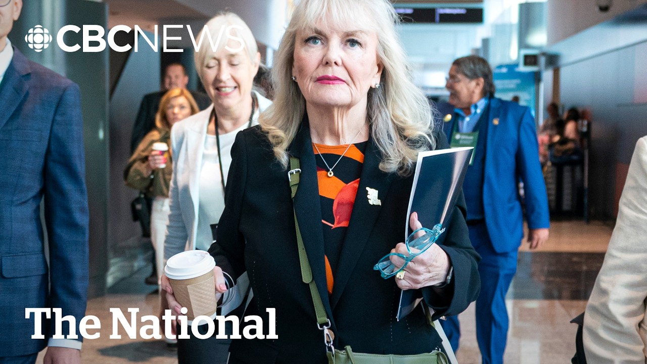 More B.C. political drama as 3 more Conservatives out &mdash; but no election call yet