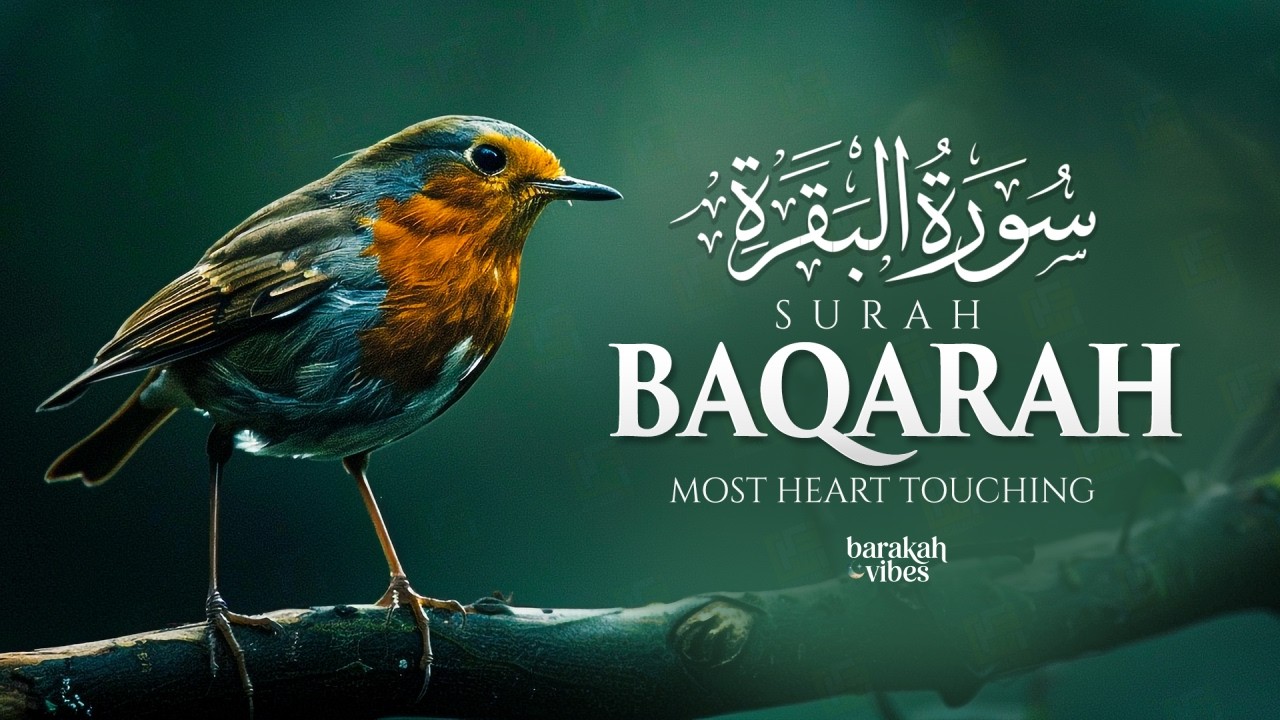 Surah Al-Baqarah Full سورة البقرة | Emotional & Heart-Touching Quran Recitation That Calms the Soul