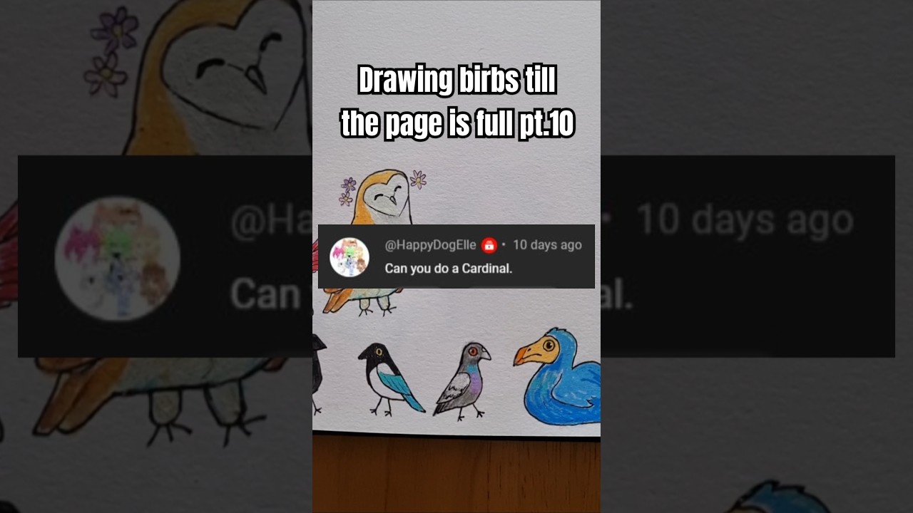 Drawing birds until the page is full pt.10 