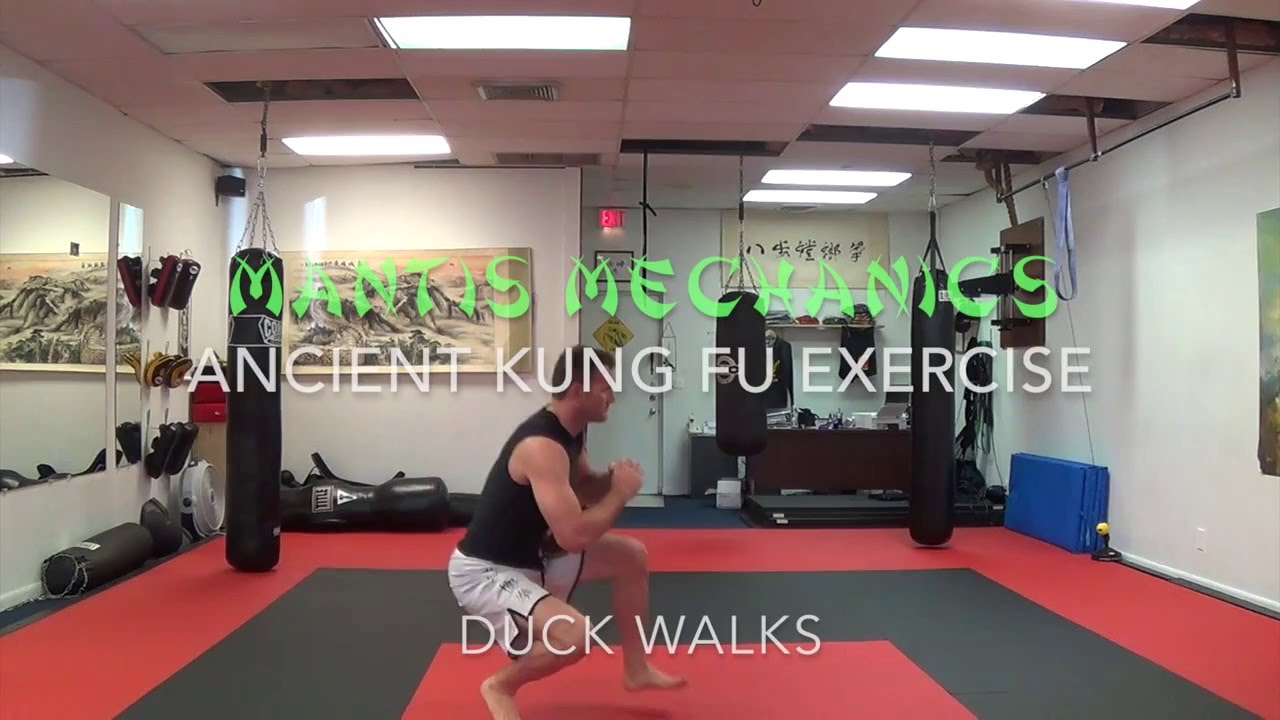 Ancient Kung Fu exercise: Duck Walks