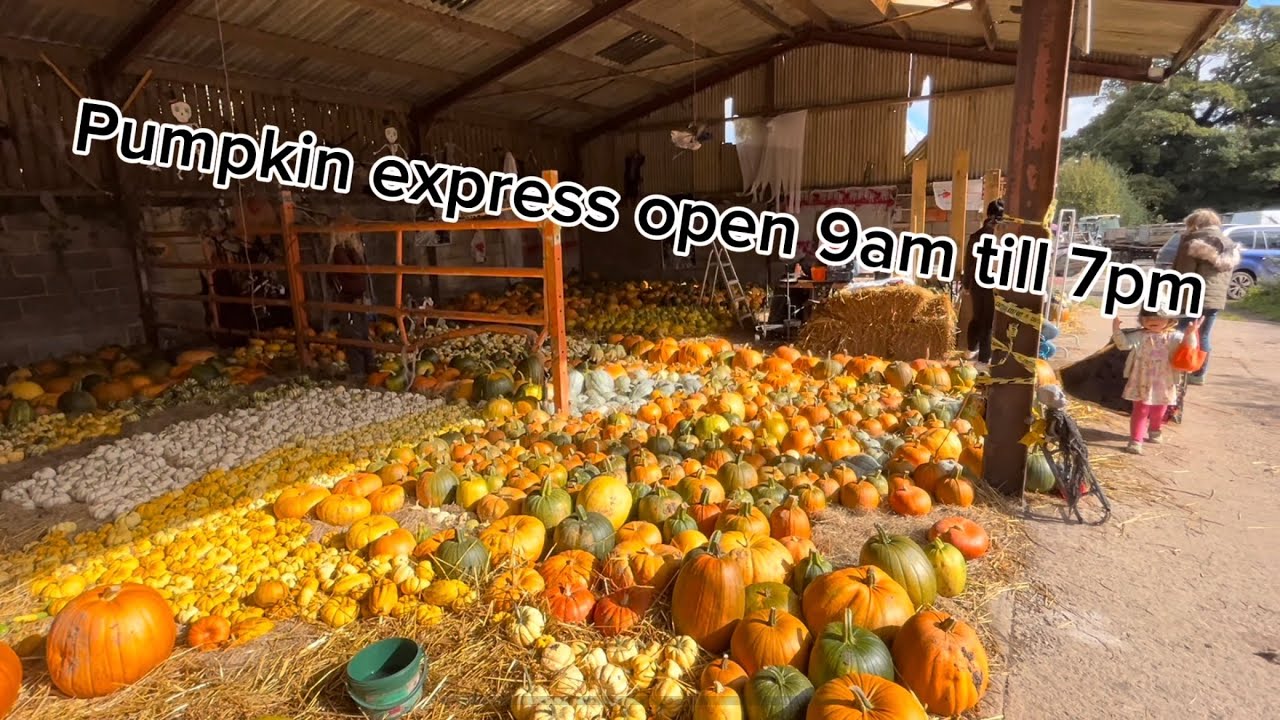 Pumpkin Express is open 2024