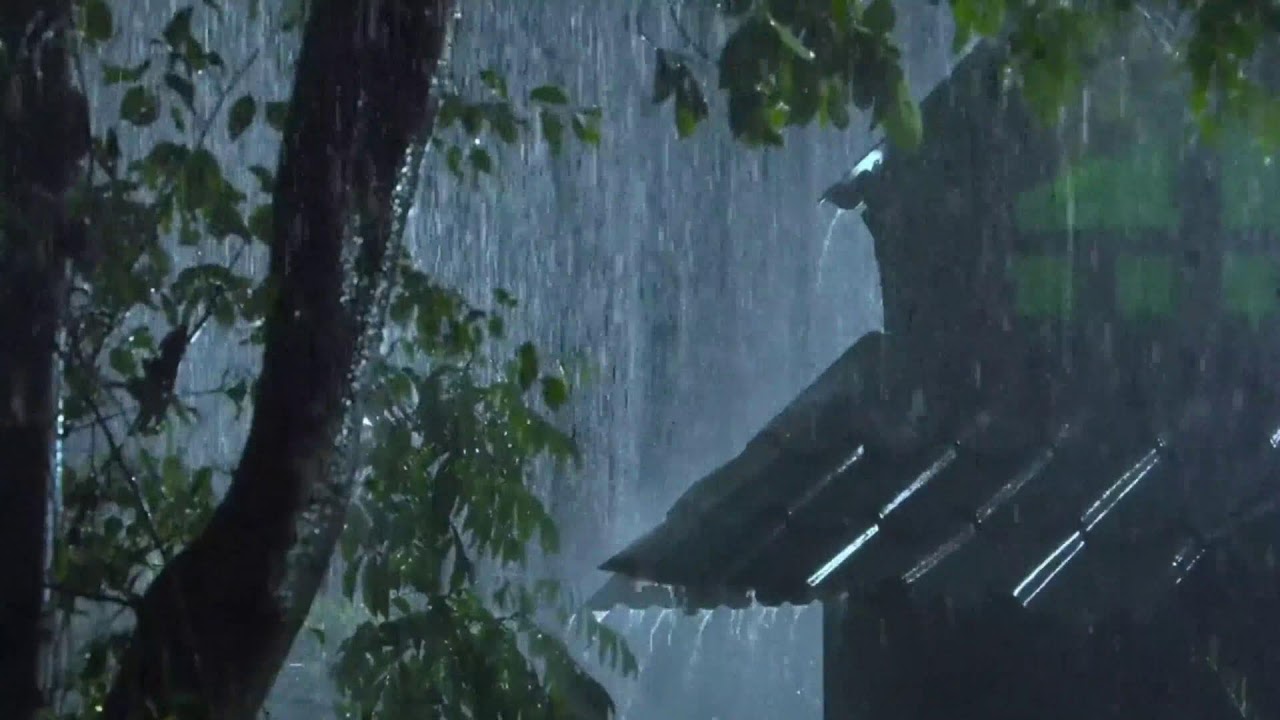 Guaranteed Deep Sleep: Black Screen Rain Sounds for Stress Relief, Insomnia & Restful Night.