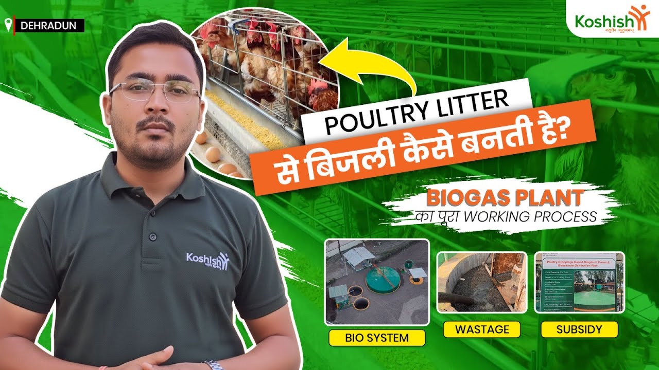 Poultry Litter से बिजली कैसे बनती है? | Biogas Plant का पूरा Working Process