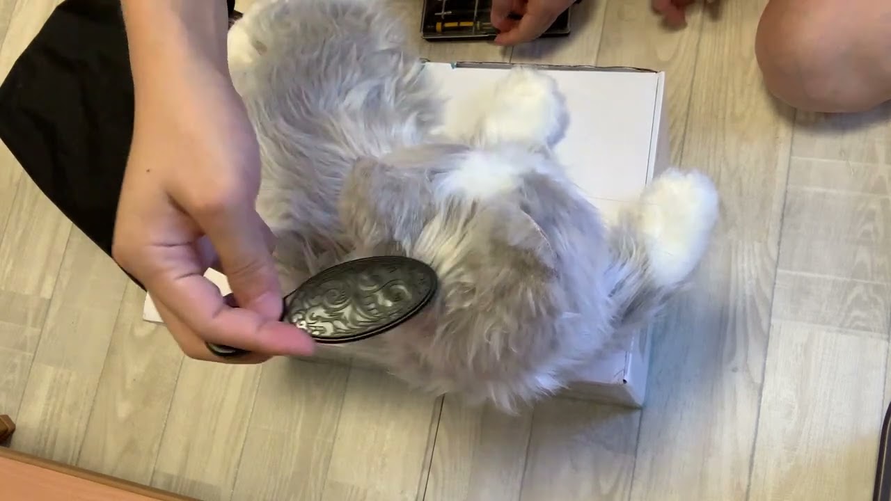 2022 July 23 : unboxing Joy for all cat