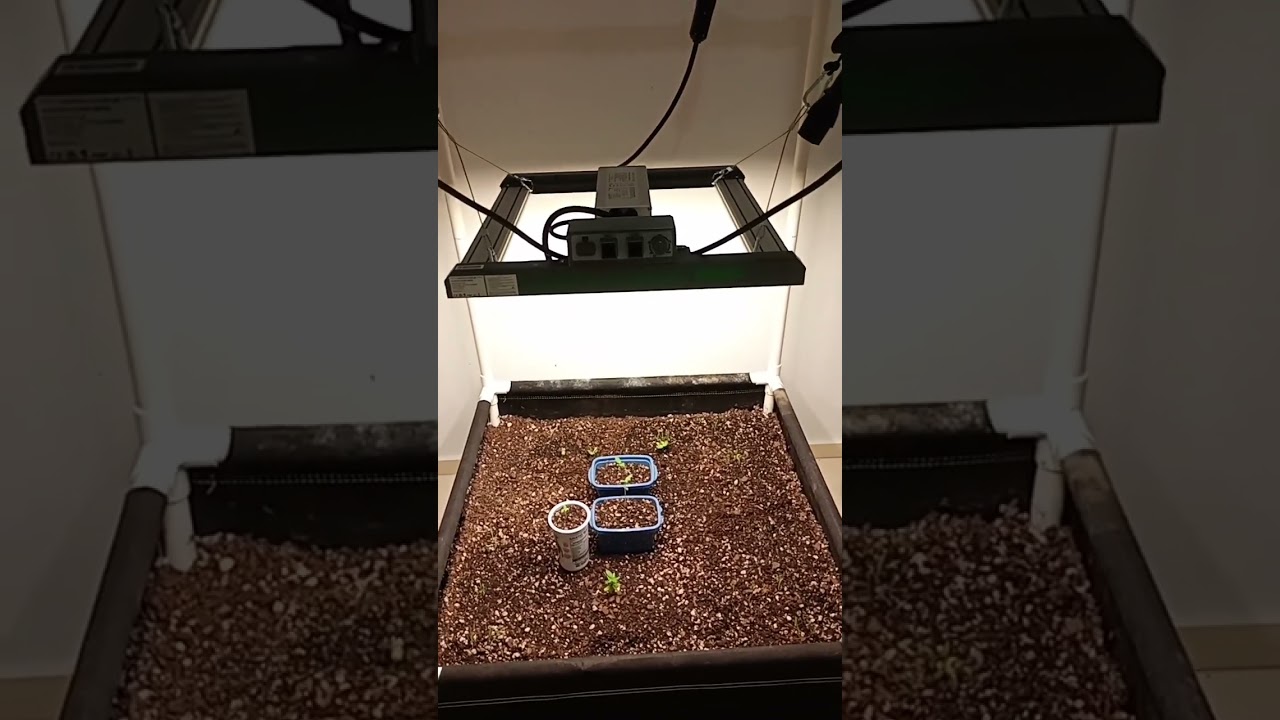 MARS HYDRO FC-1500 LM301H EVO