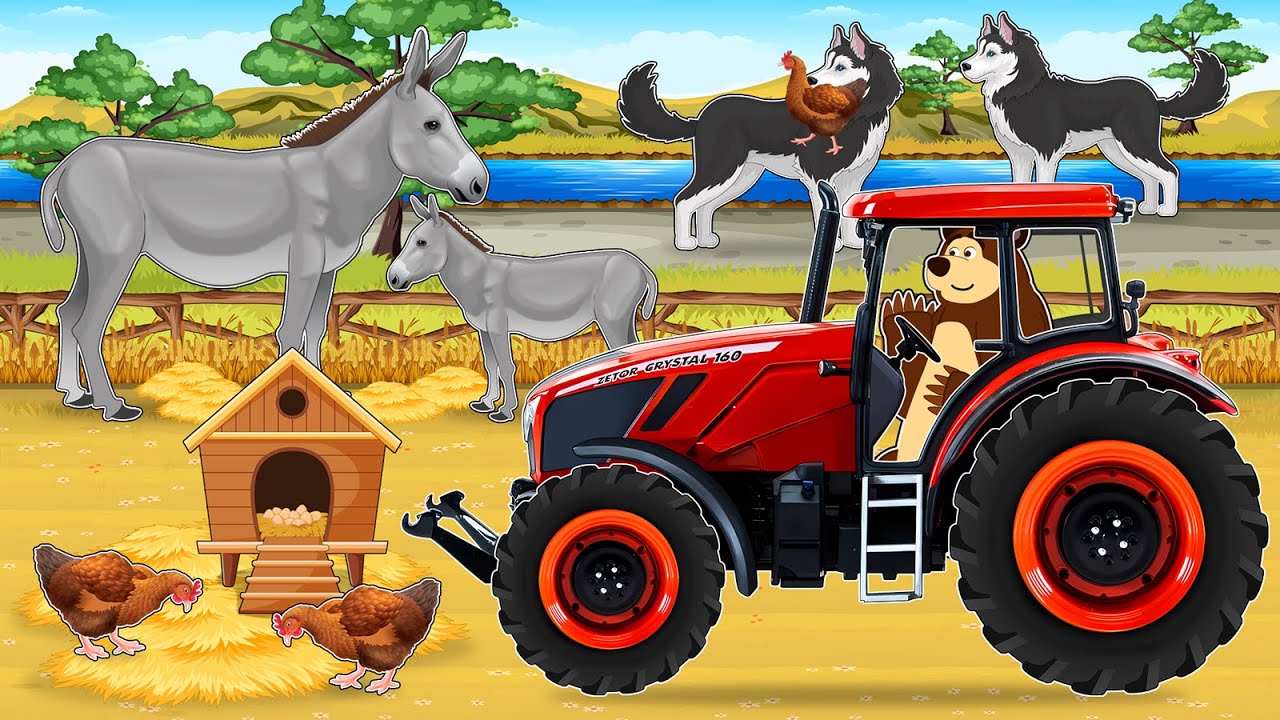 Farmer Drives Tractor to Help Donkey Protect Chickens from Wolf Attack 🚜🐴 | Vehicles Farm