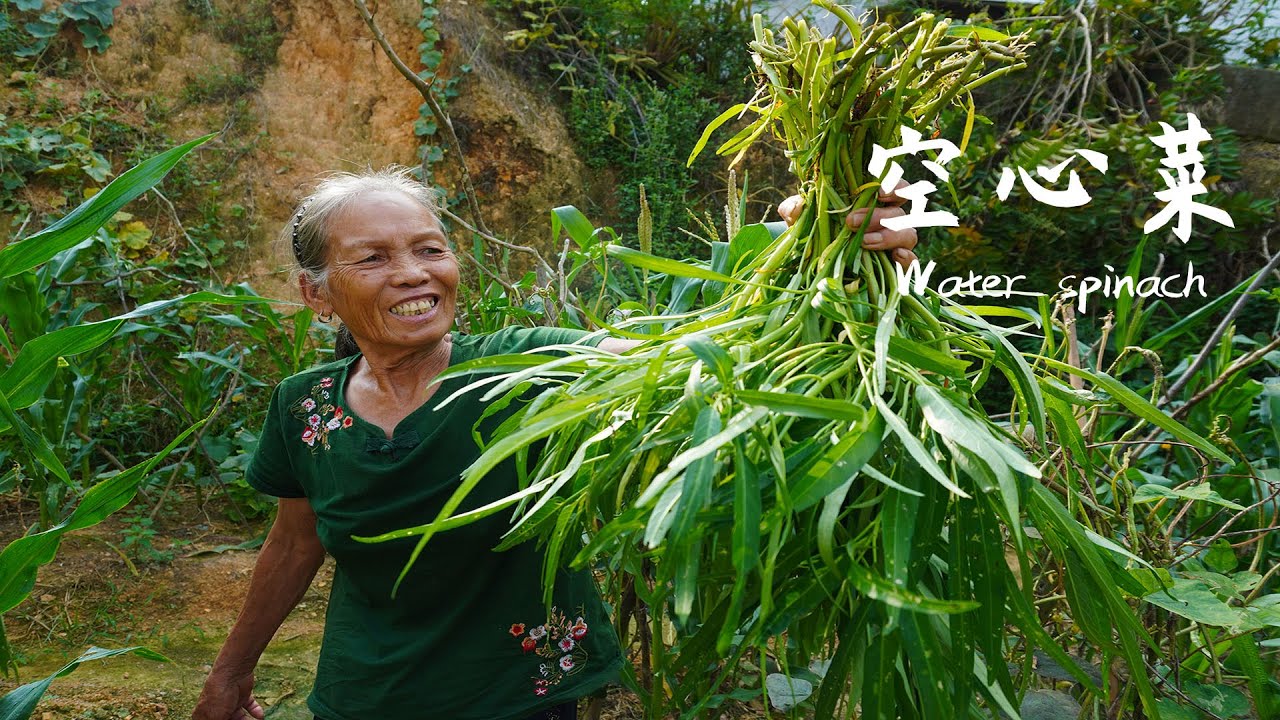 空心菜（蕹菜）怎麼做最好吃？阿婆教你3種做法 簡單美味 送粥好菜Grandma made 3 different delicacies with water spinach | 广西 玉林阿婆 美食