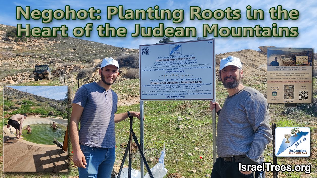 Negohot Planting Roots in the Heart of the Judean Mountains