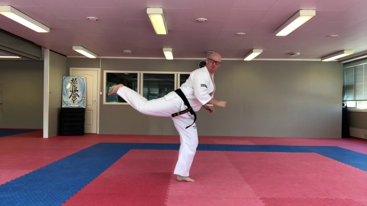 Ushiro Geri Chudan