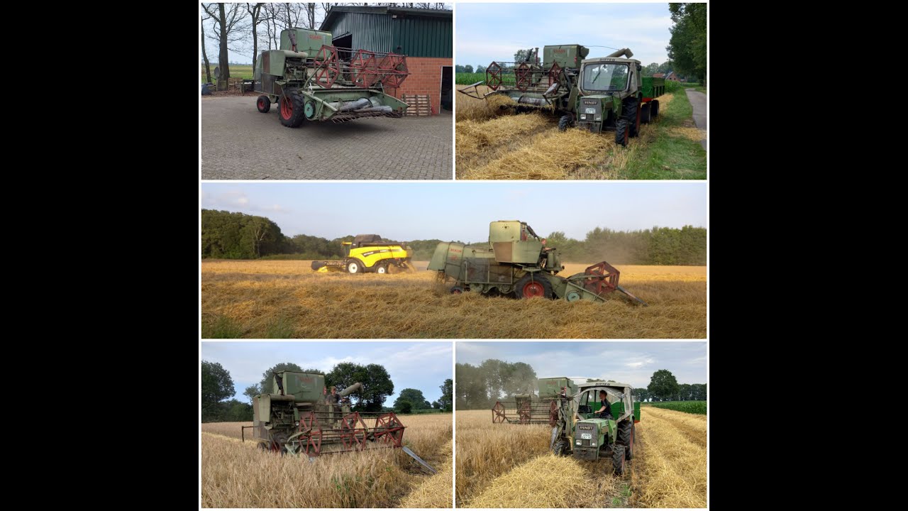 Oldtimer dreschen 2021 | Claas Mercur | Fendt Farmer 200S
