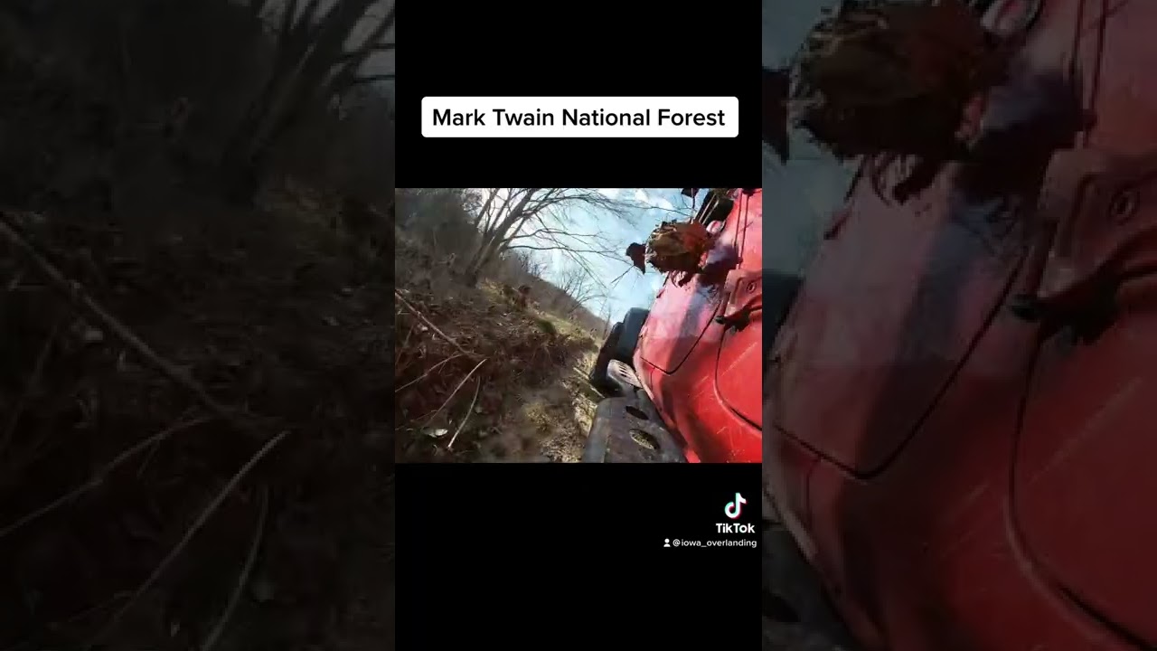 Mark Twain national forest