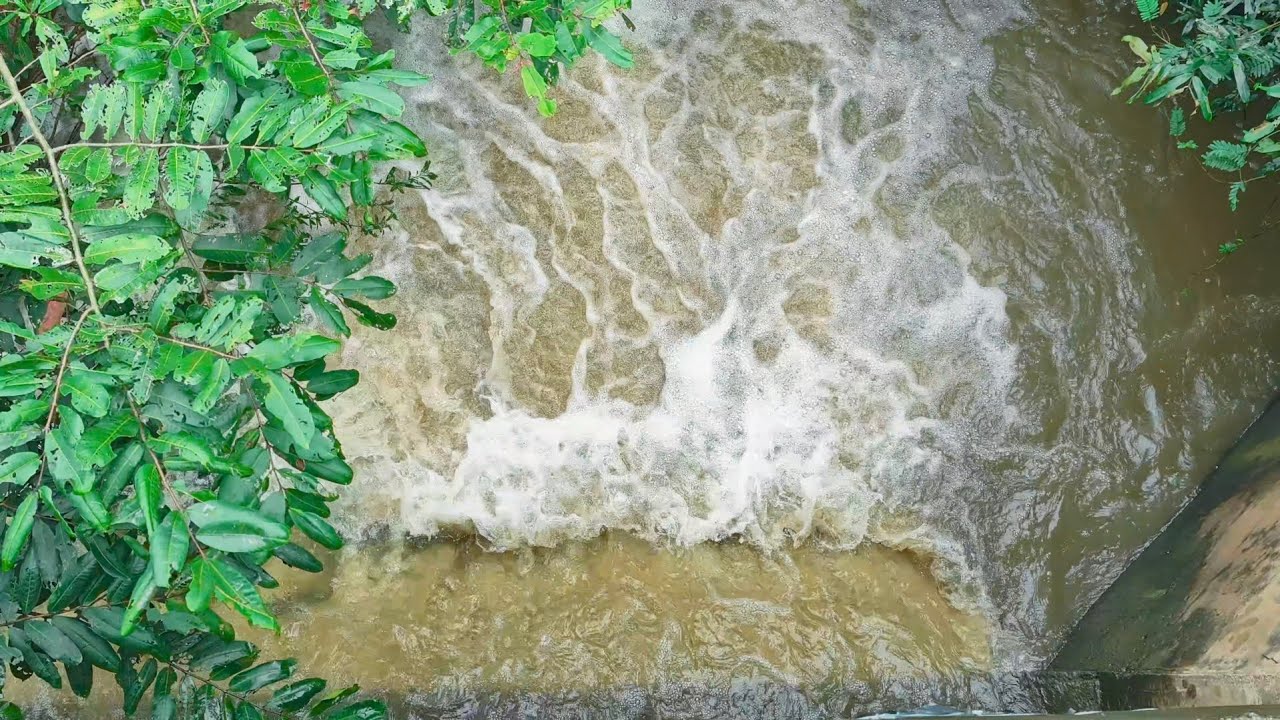 🌊 அணைபாயும் வெள்ளம் பொங்கியோடுகிது ! 😱 Dam Water Release View | Heavy Flood Flow 🌧️💦