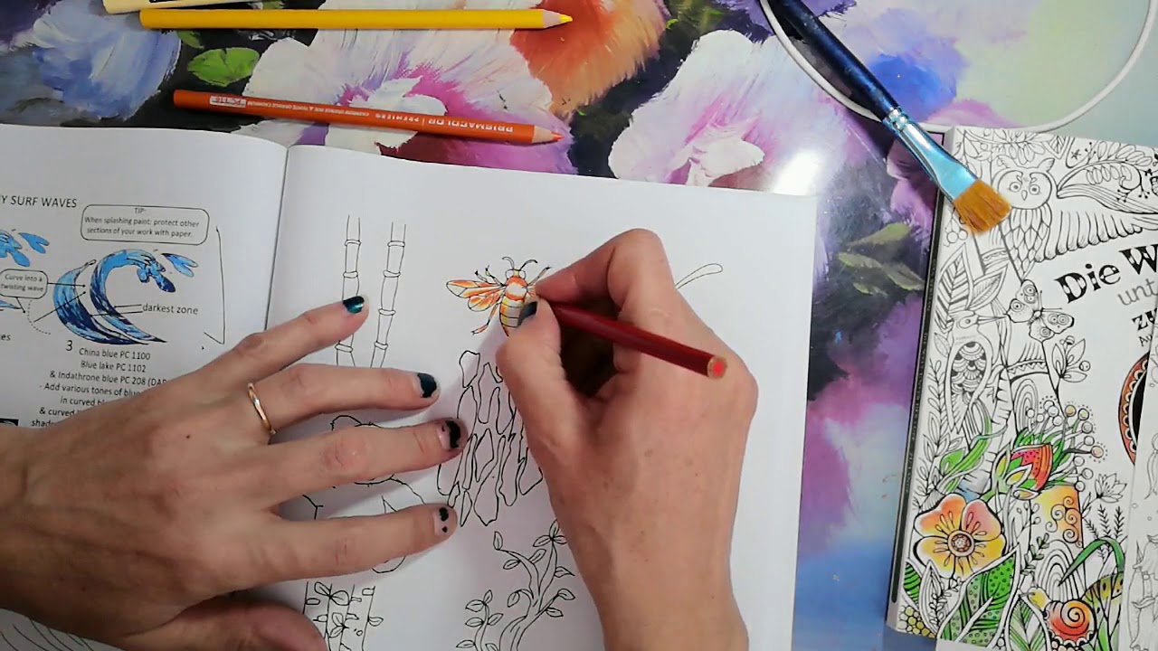 tuto abeille comment la mettre en couleur