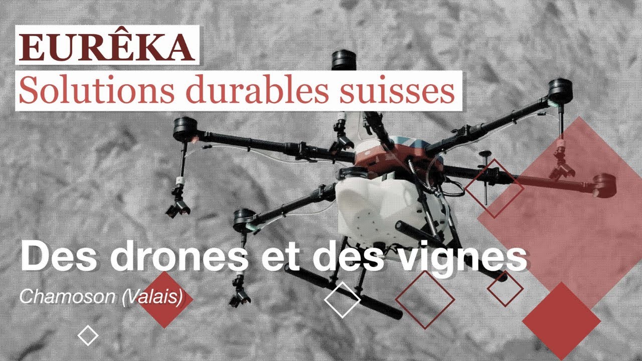 Des drones pour sulfater les vignes