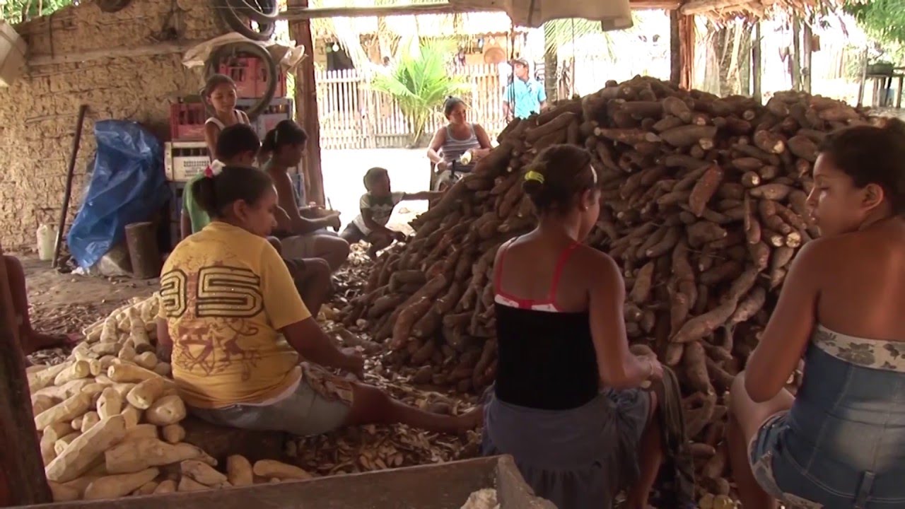 Assentados de Parnarama retornam à São João do Carú - MA.