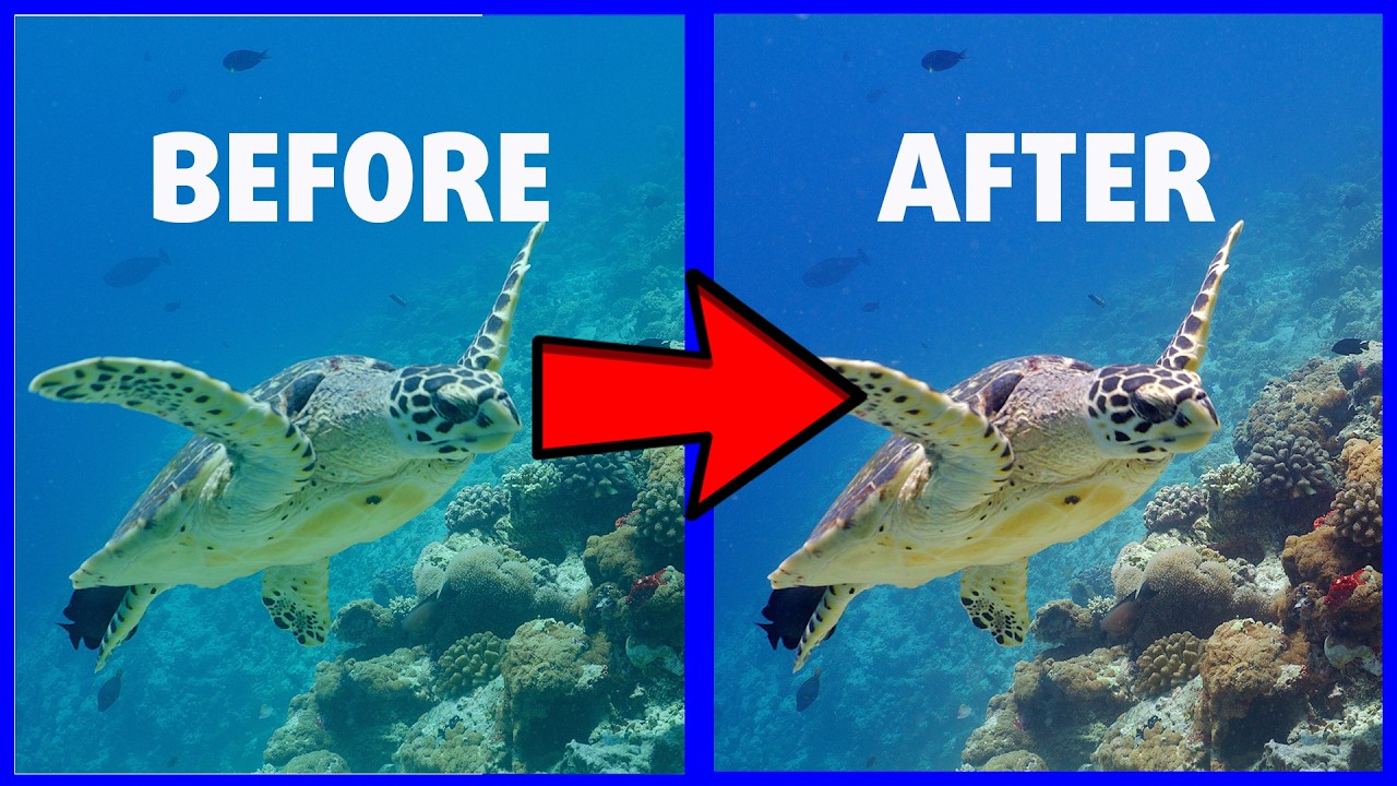 Perfect UNDERWATER COLORS with every camera | Quick Tip #2