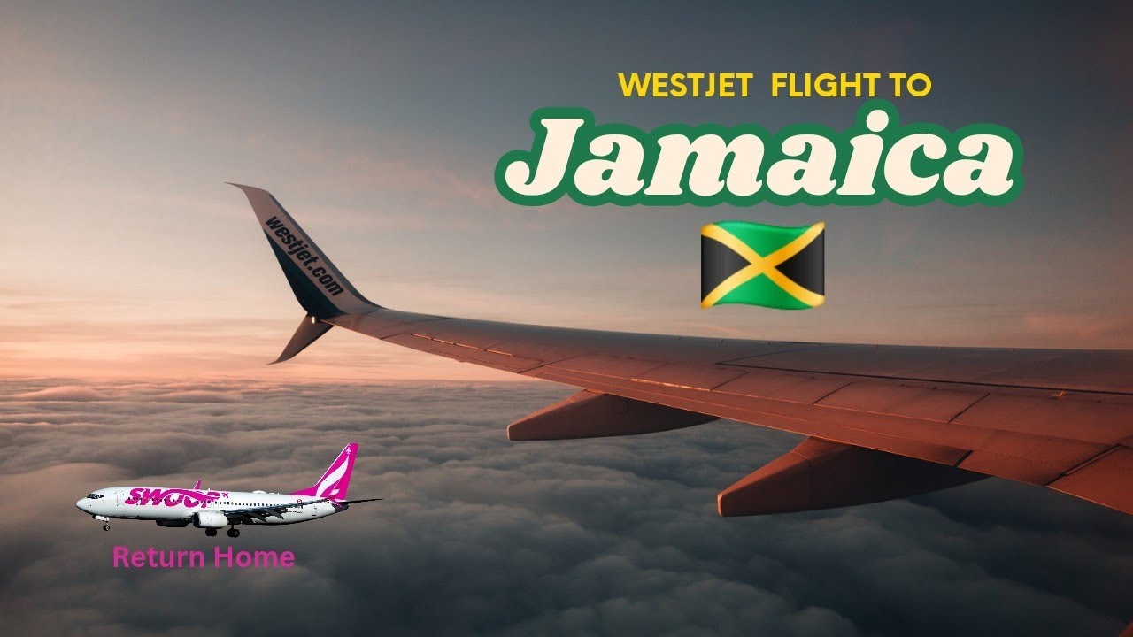 ✈️ WestJet to Jamaica 🇯🇲 | Swoop Back to Toronto 🇨🇦