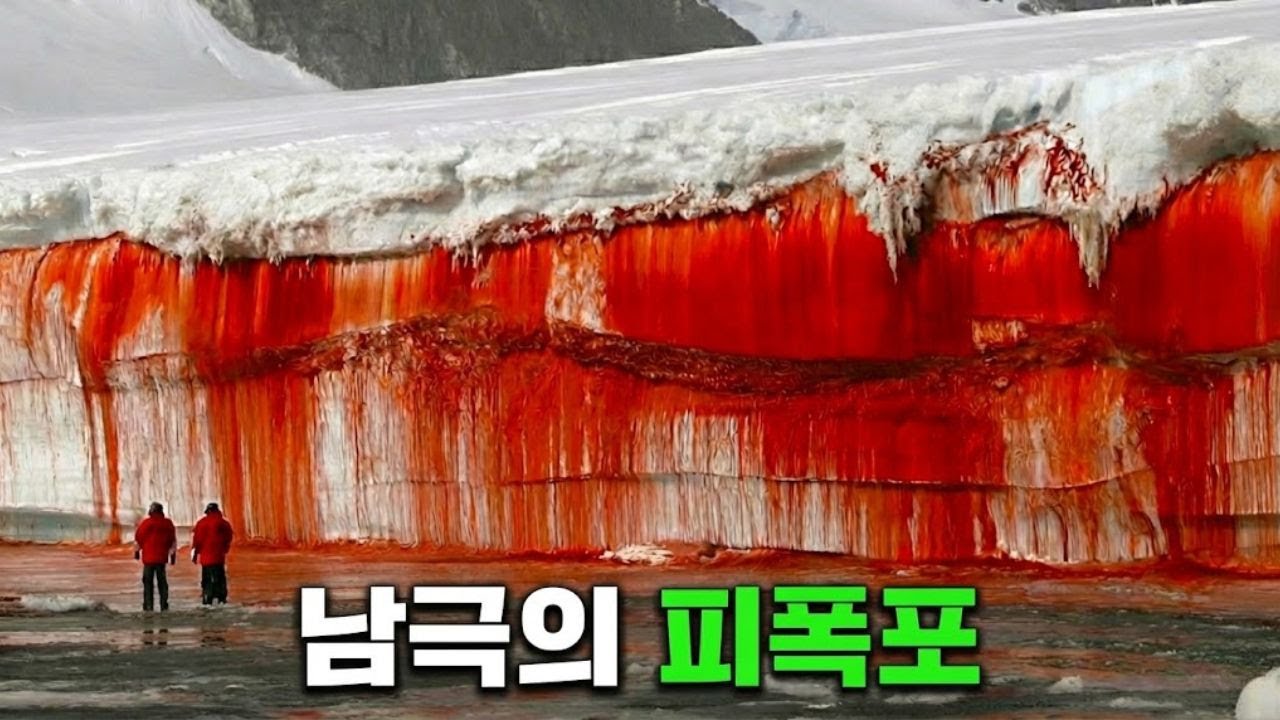 과학자들이 마침내 밝혀낸 남극이 ‘피를 흘리는’ 이유
