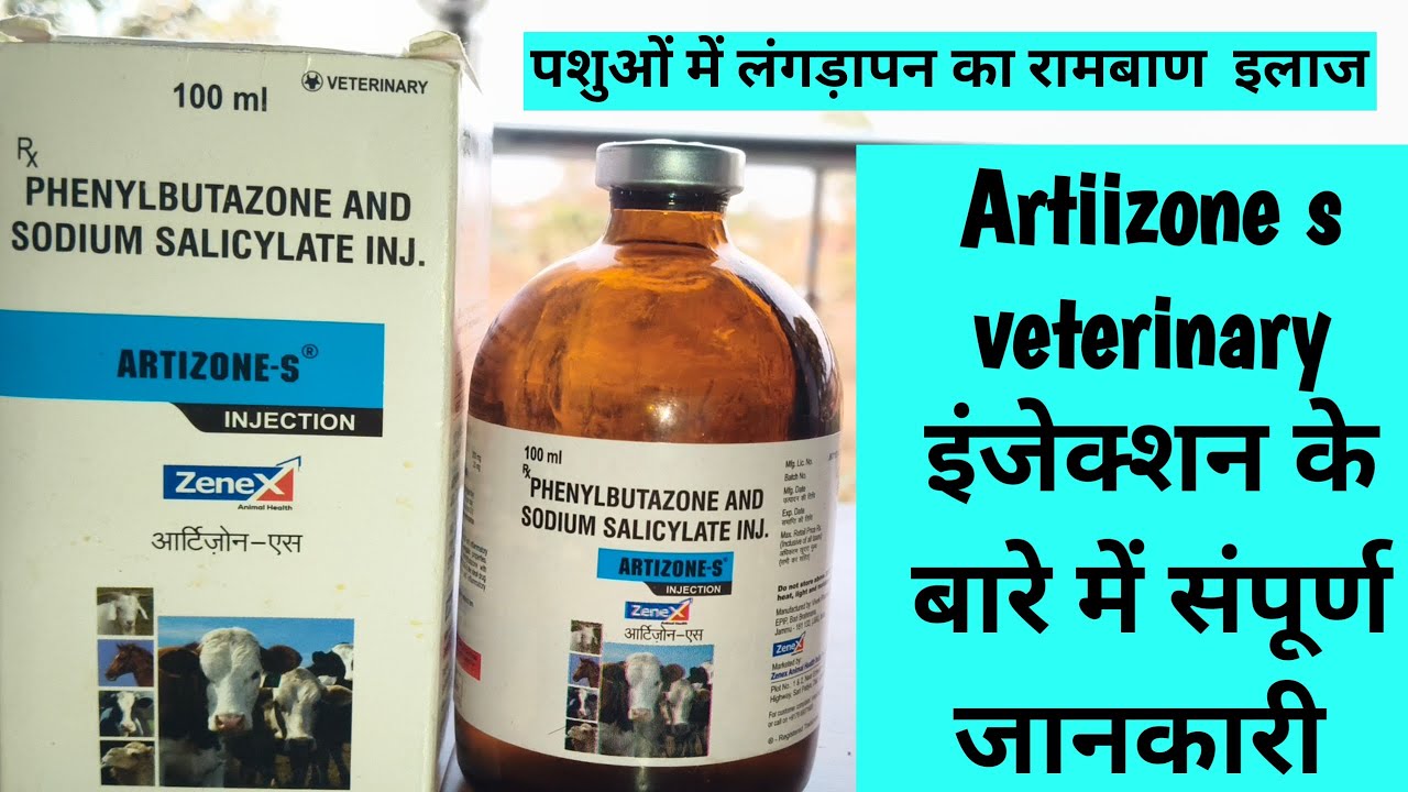 Artizone s veterinary injection uses in hindi । पशुओं में लंगड़ापन का रामबाण इलाज #lemnesstreatment