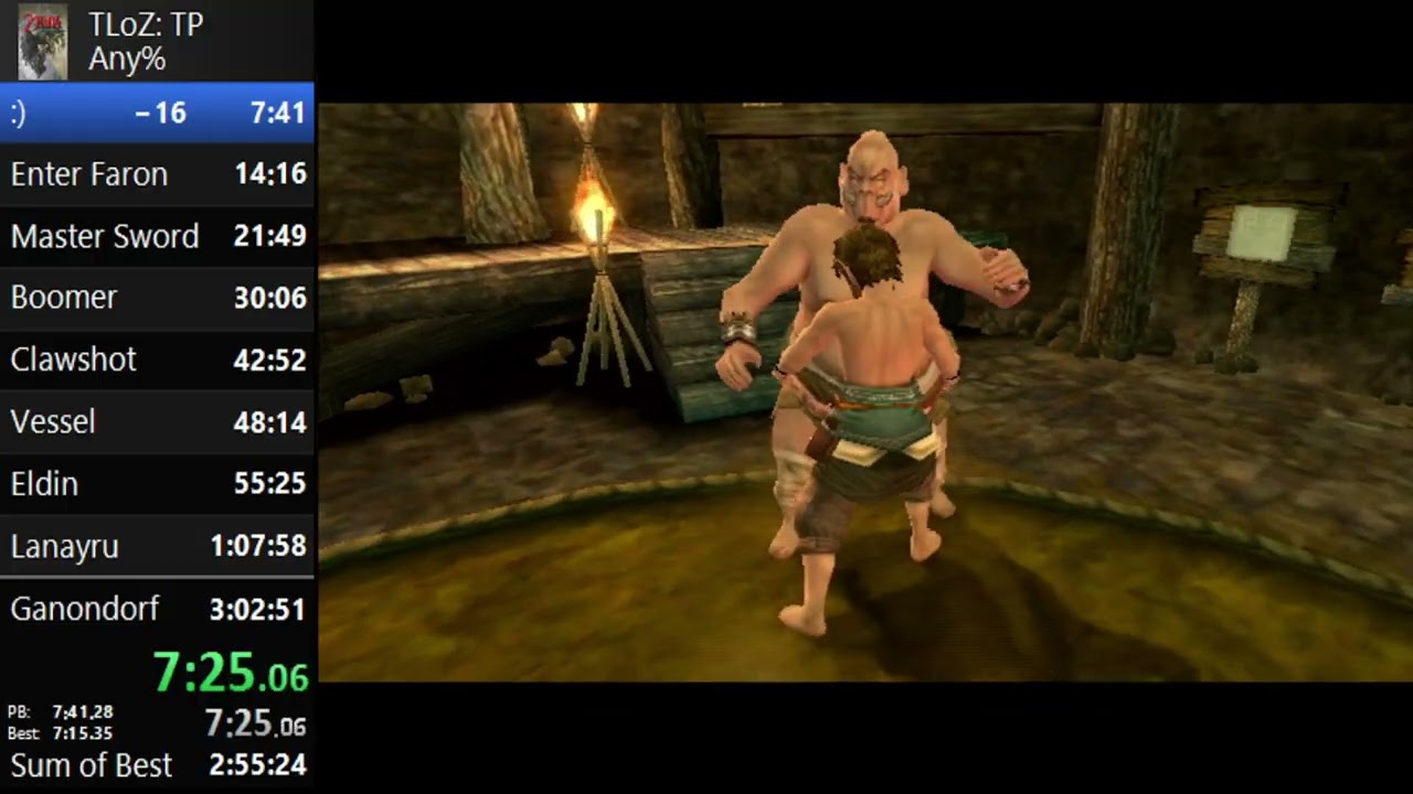 3:02:46 Twilight Princess any% GCN