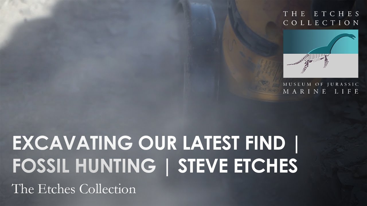 EXCAVATING OUR LATEST FIND | FOSSIL HUNTING | STEVE ETCHES