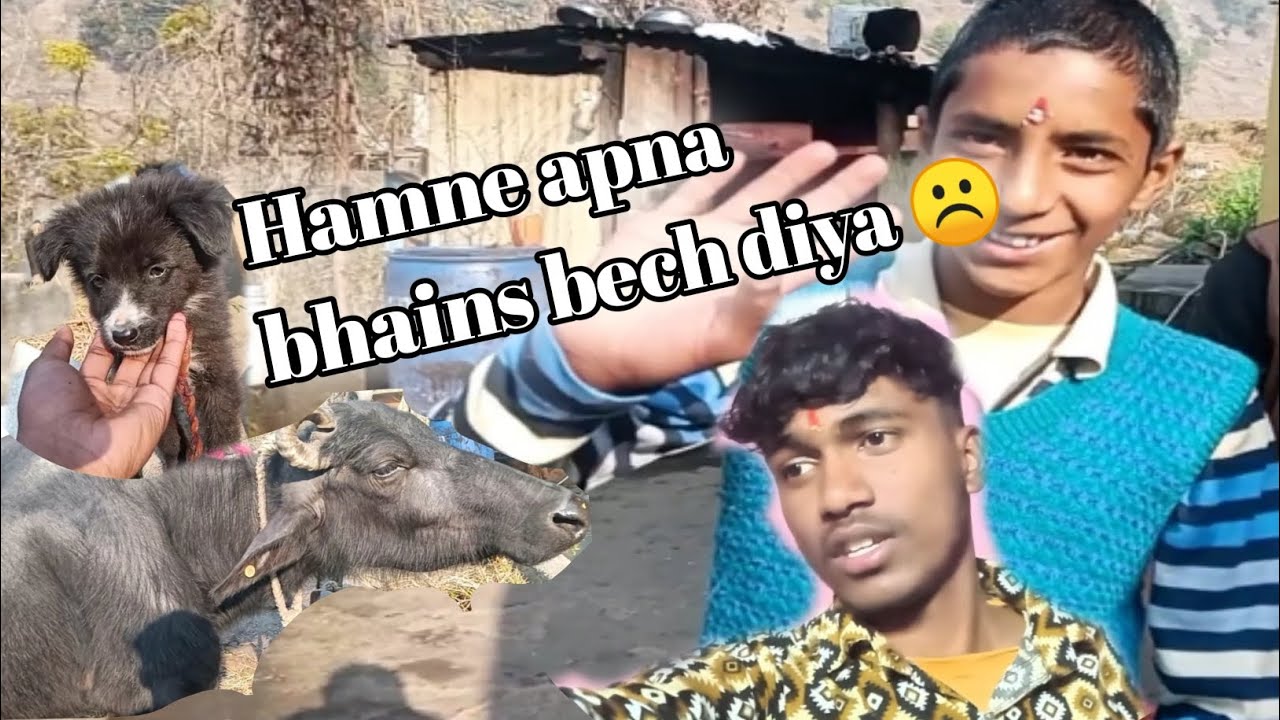 Hamne apna bhains bech diya ☹️