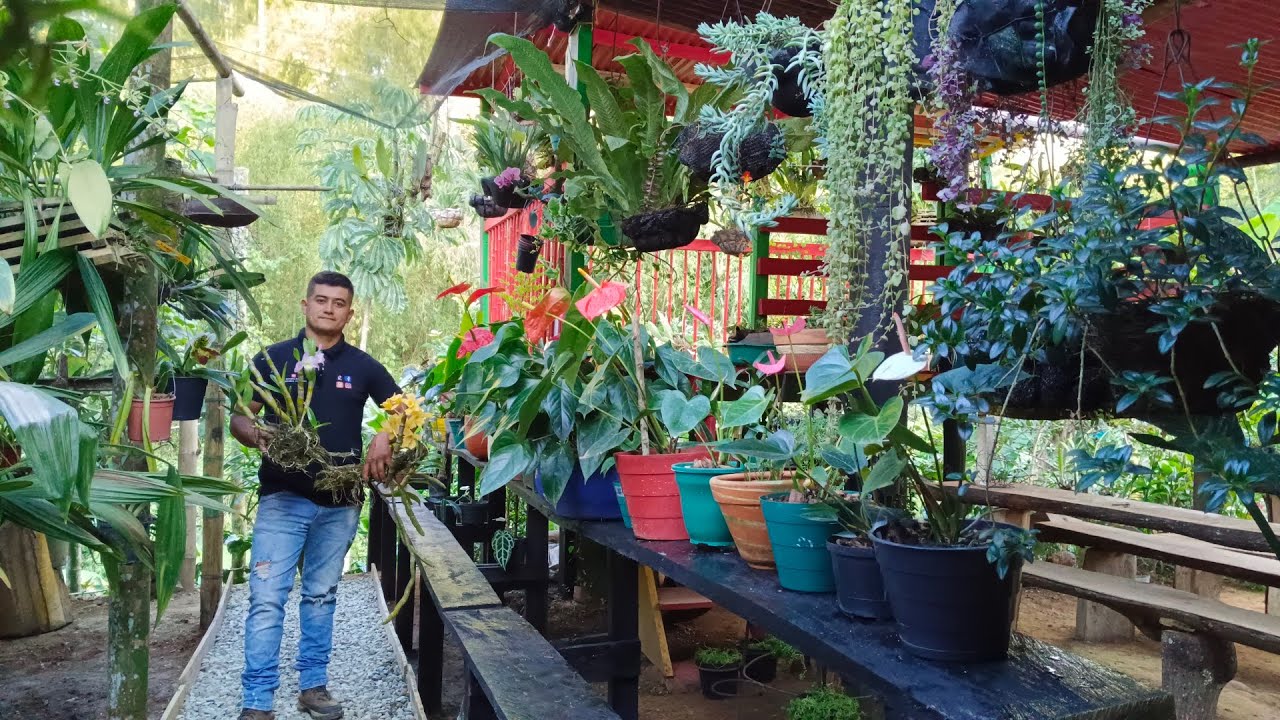 Asi va la renovación en el jardín 😃 acompáñame a ver esta transformación.