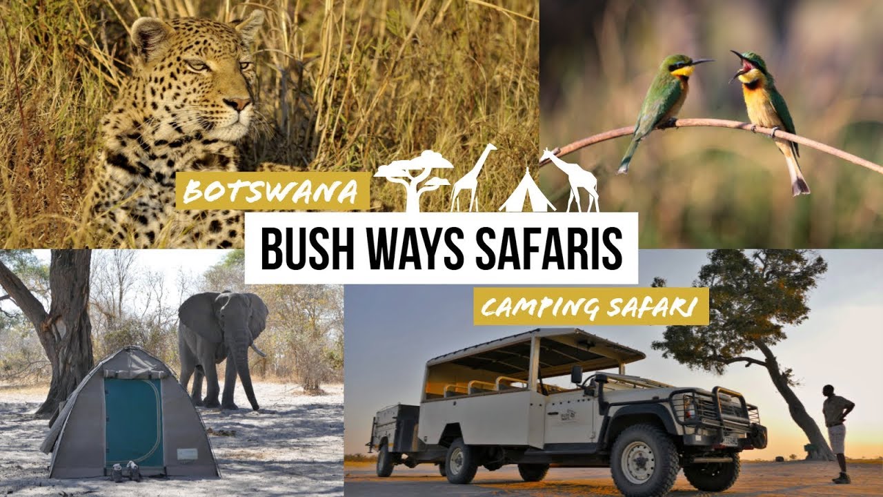 Best Mobile Safari in Botswana? Chobe | Moremi | Khwai | Okavango Highlights w/ Bushways
