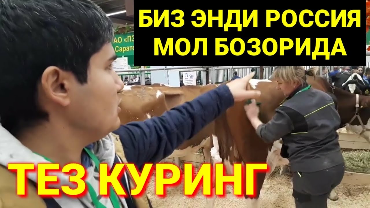 УЗБЕКЛАР РОССИЯ МОЛ БОЗОРИДА