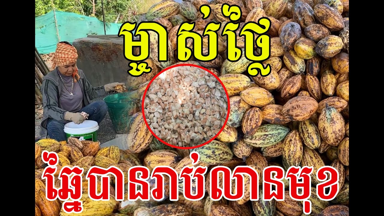 ឈ្ងុយណាស់ ផ្លួយមួយនេះច្នៃបានស្ទើគ្រប់មុខតែម្ដង