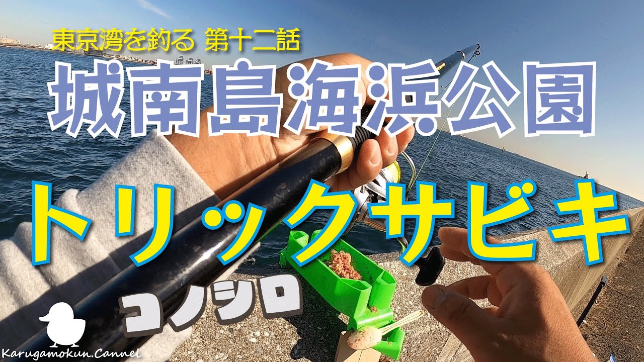 【東京湾を釣る第十二話☆11月下旬】トリックサビキでコノシロ釣れた　結構いいサイズじゃね【城南島海浜公園】