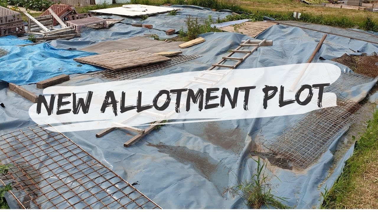 New Allotment Plot