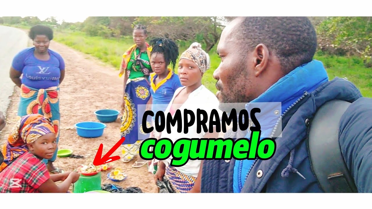 COMPREI COGUMELOS COM MEU IRMÃO COMPREI COGUMELOS COM MEU IRMÃO