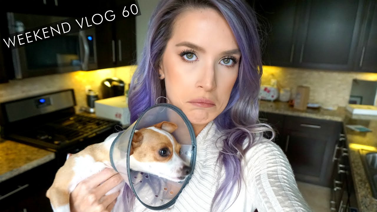 Luna's Surgery Drama | weekend vlog 60 | LeighAnnVlogs