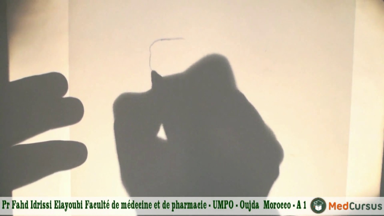 Fosses Nasales - Partie 1 -  Pr  Fahd  Idrissi  Elayoubi