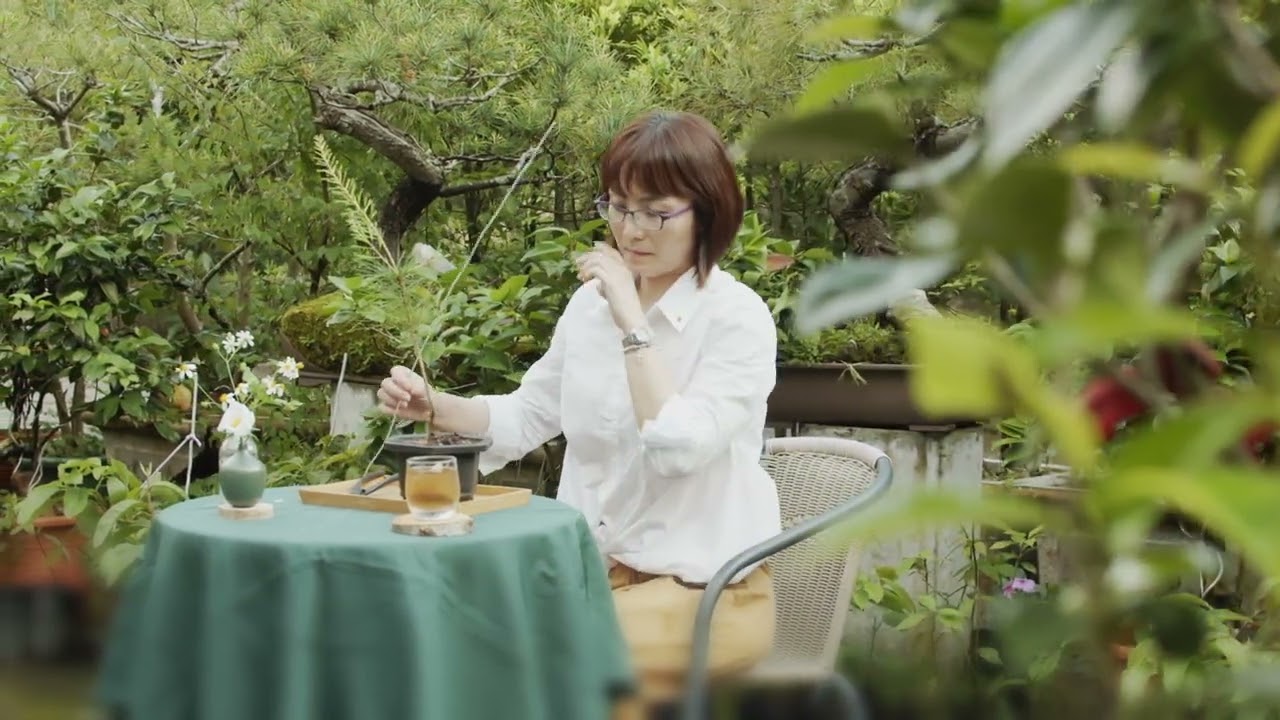 崧大夫-五葉松的嚮導