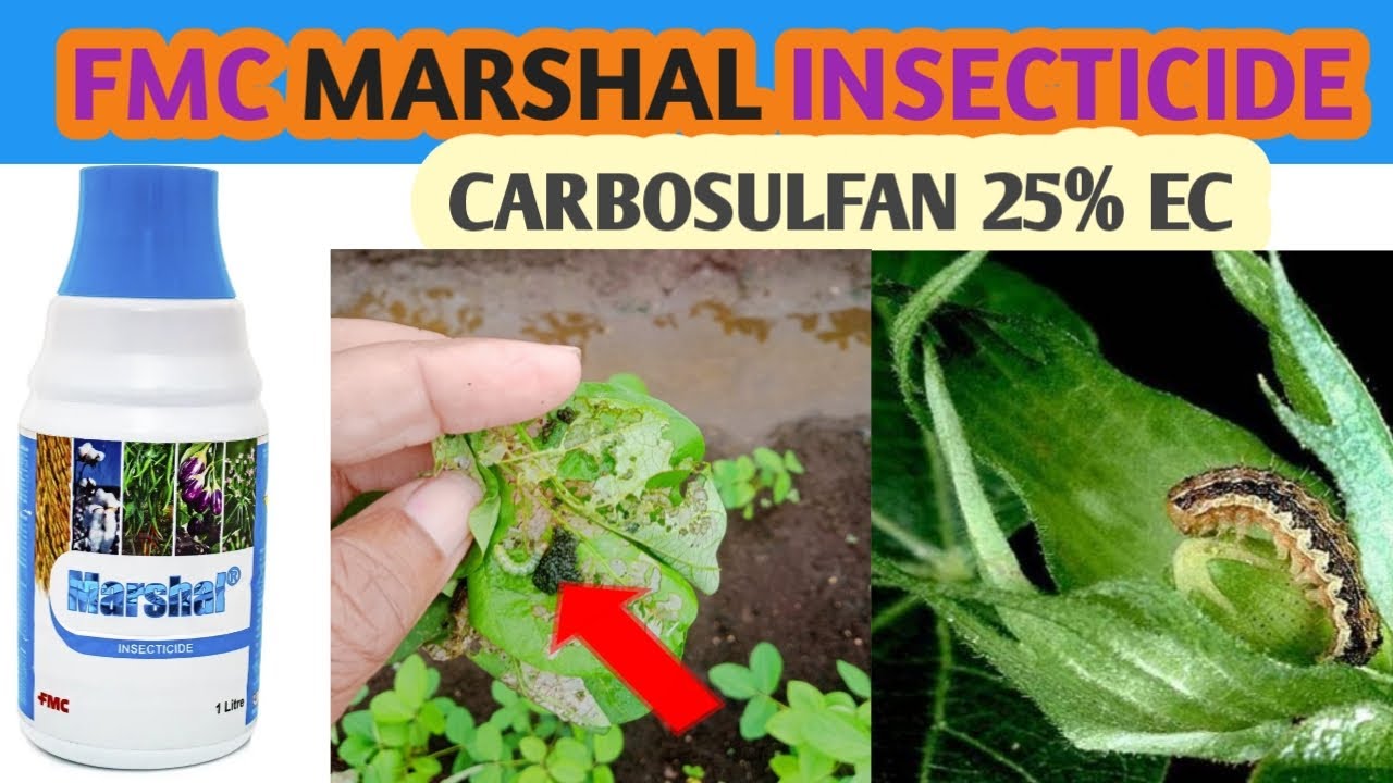 FMC #MARSHAL INSECTICIDE | MARSHAL INSECTICIDE | CARBOSULFAN 25% EC