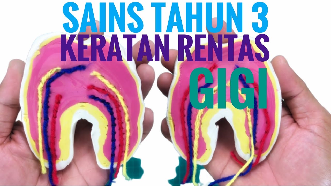 Model gigi Keratan rentas gigi SAINS TAHUN 3