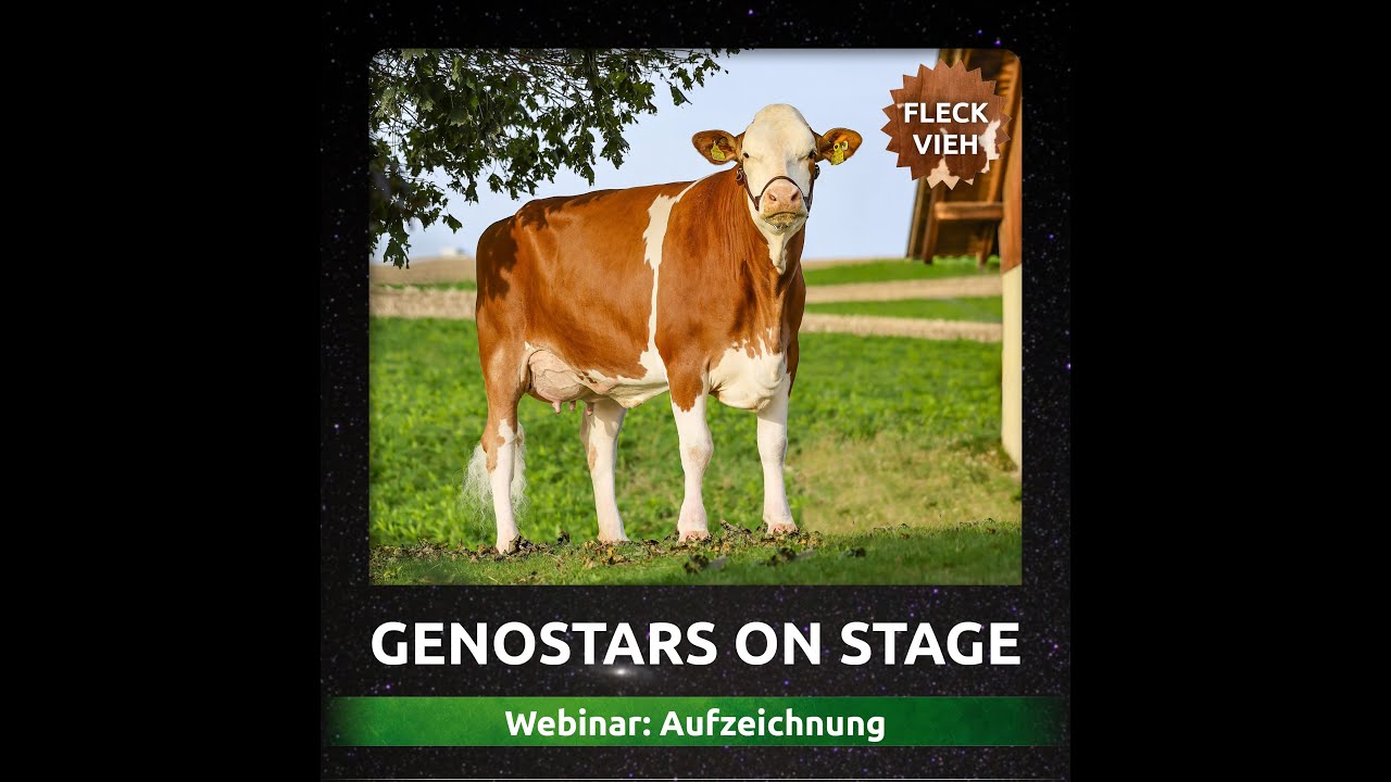 GENOSTARS on STAGE August 2025 Aufzeichnung
