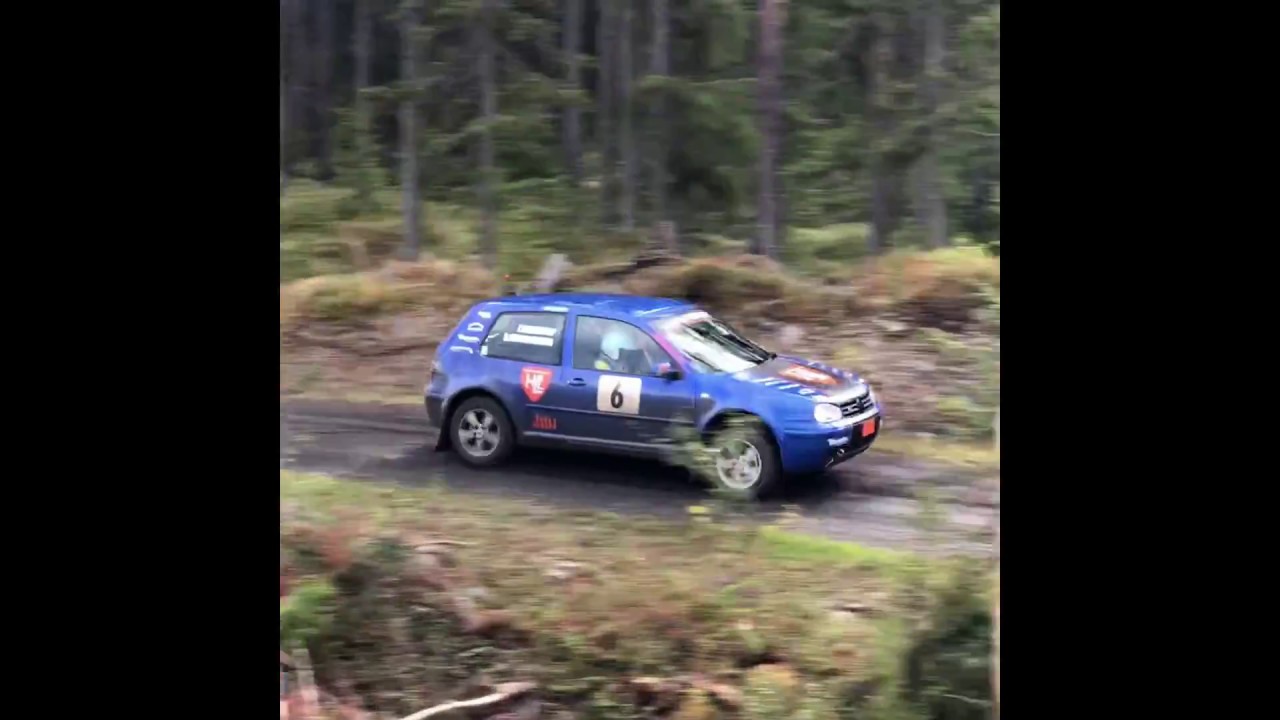 &Auml;nge Park-sprinten 2018 Alla bilar