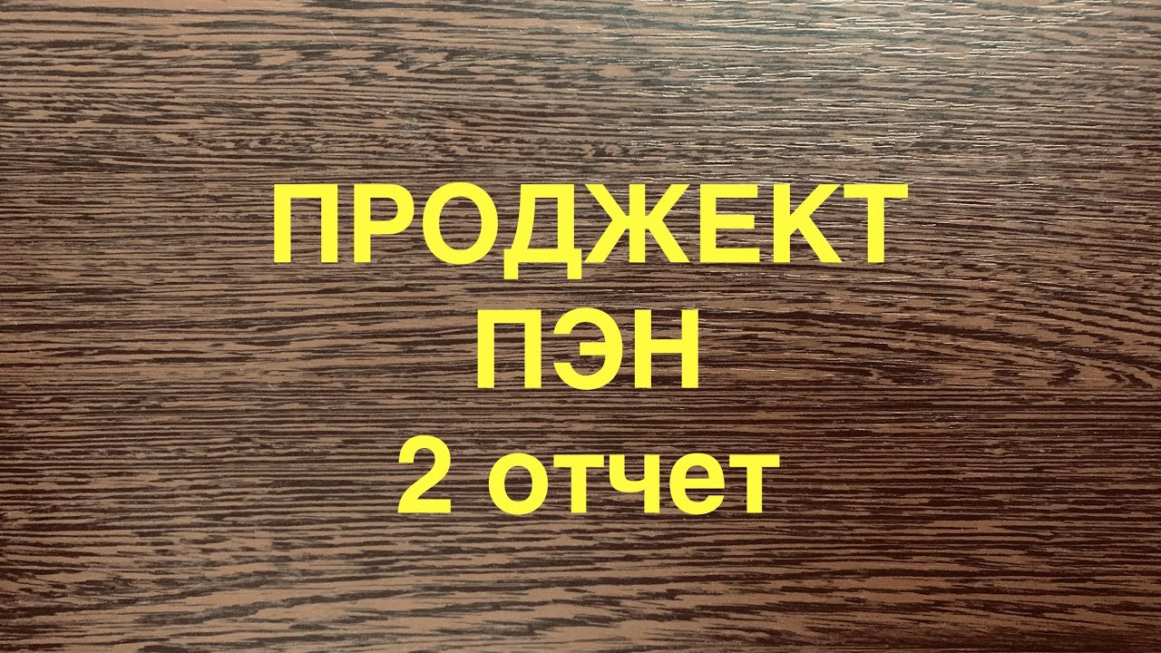 Проджект Пэн 2 отчет 2026